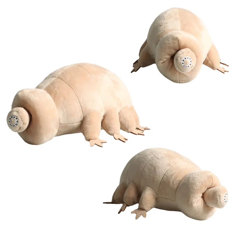 Kids Education Movies - 25cm urso de água tardigrade brinquedo