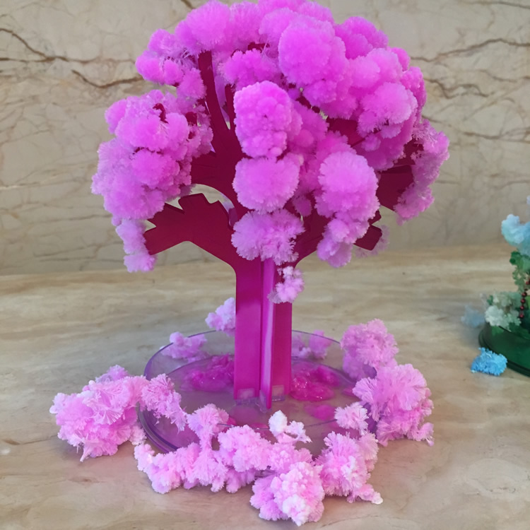 Kids Education Learn Tv - Magic Growth Tree Magic Growing Paper,