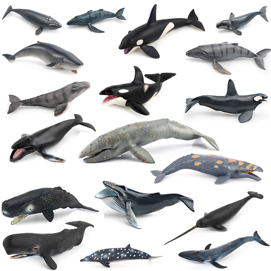 Kids Education Product - Modelos Realistas de Animais Marinhos: Baleia-Cavaleiro,