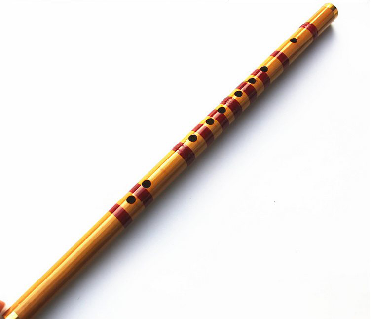 Kids Education Design - Crianças aprendendo bem projetado bambu crianças