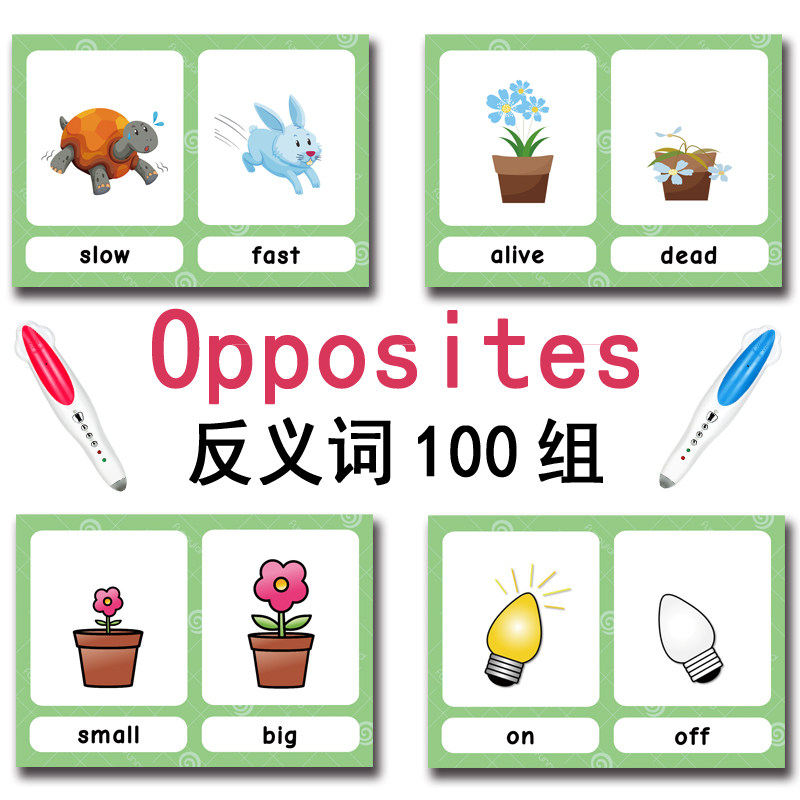100 Cartões de Vocabulário em  - Kids Education Product avaliação e preço