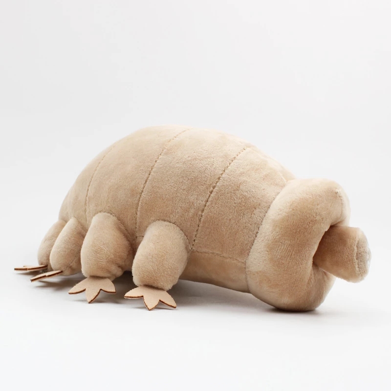 25cm urso de água tardigrade b - Kids Education Movies avaliação e preço