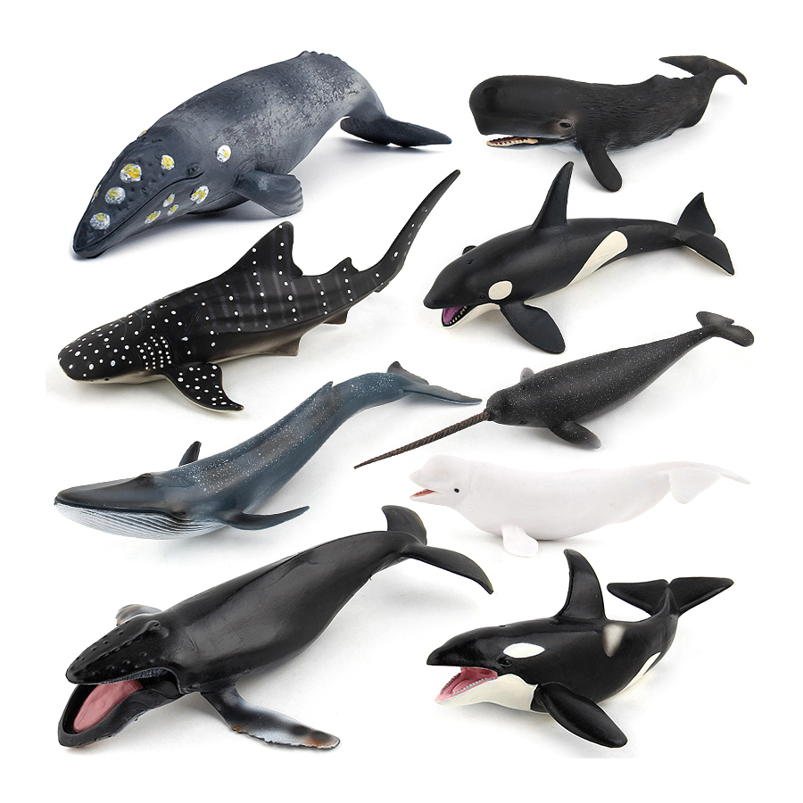 Modelos Realistas de Animais M - Kids Education Product avaliação e preço