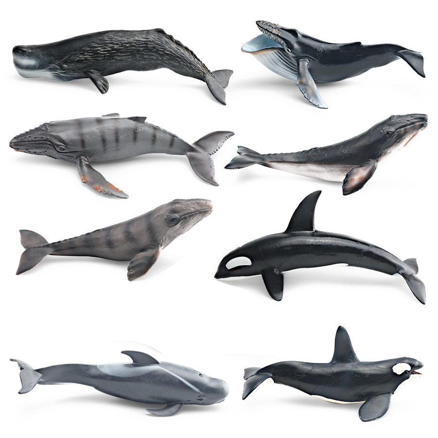 Modelos Realistas de Animais M - Kids Education Product avaliação e preço