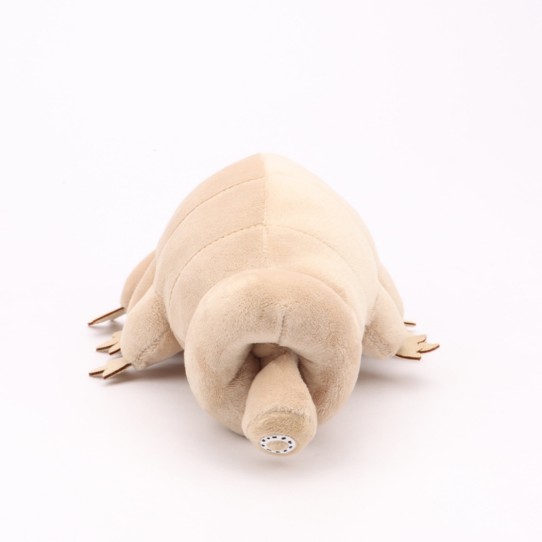 Urso Aquático Tardigrade de Pe - Kids Education Movies avaliação e preço