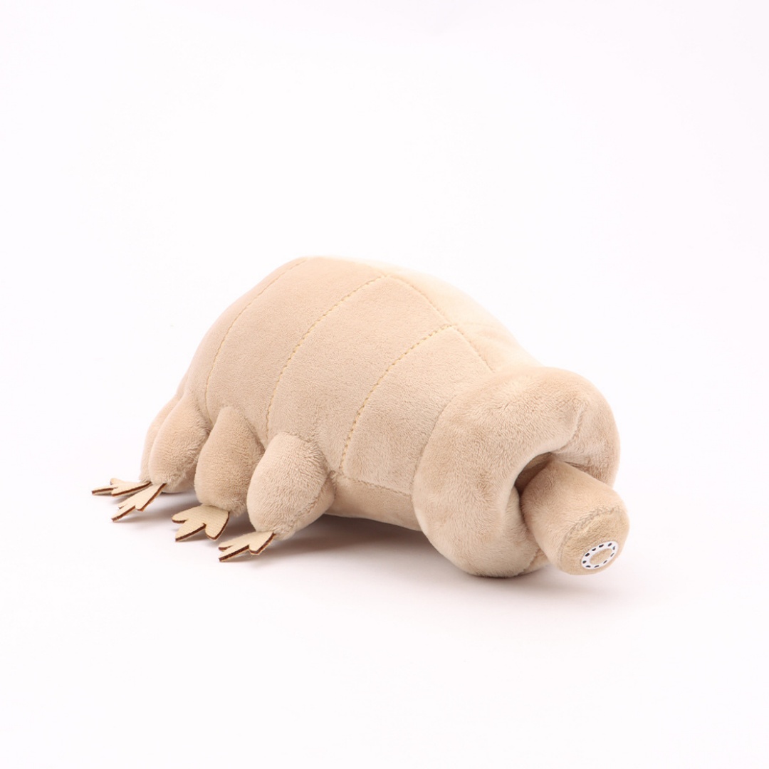 Urso Aquático Tardigrade de Pe - Kids Education Movies avaliação e preço